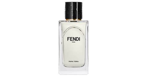 cometica fendi|prima terra fendi.